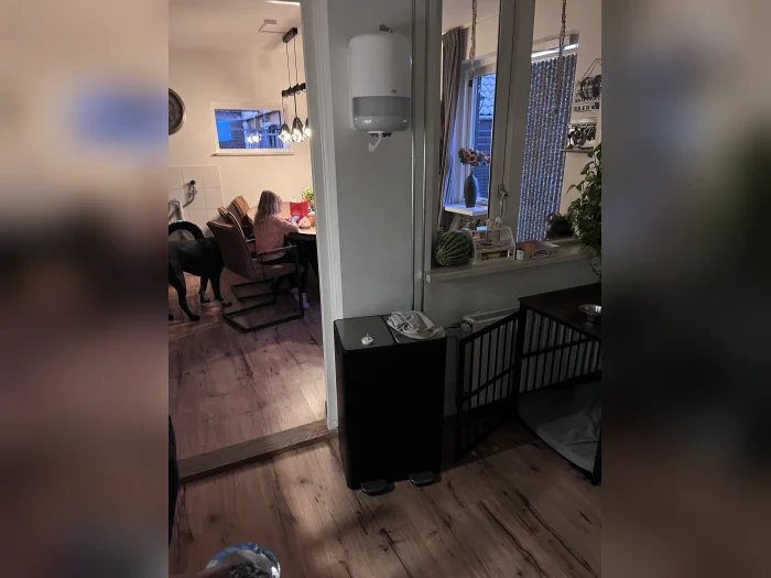 Voorbeeldafbeelding 2