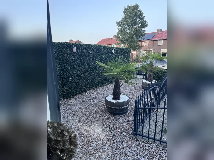 Voorbeeldafbeelding 3