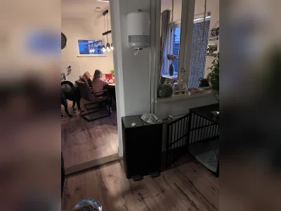 Voorbeeldafbeelding 2