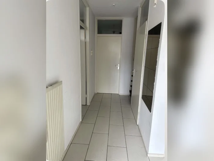 Voorbeeldafbeelding 3