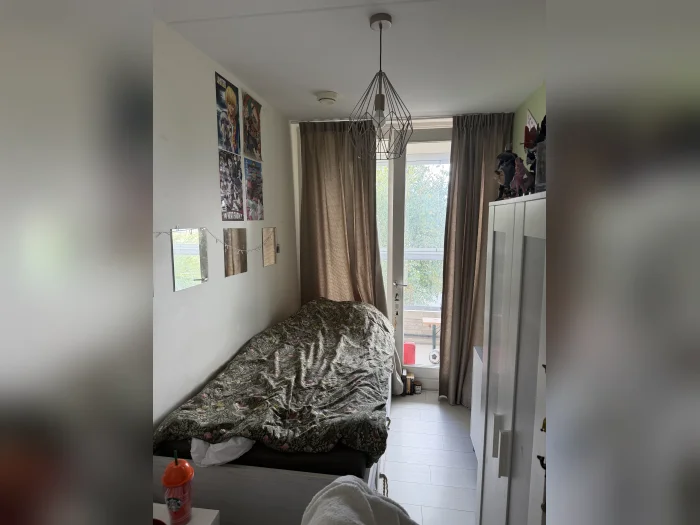 Voorbeeldafbeelding 2