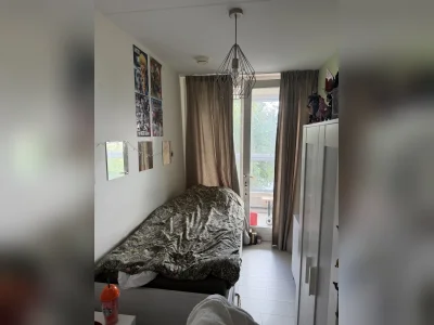 Voorbeeldafbeelding 2