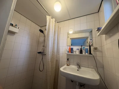 Voorbeeldafbeelding 3