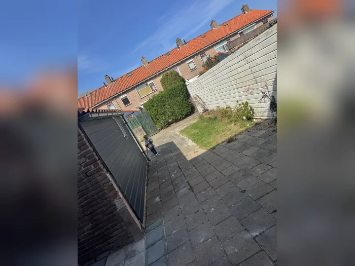 Voorbeeldafbeelding 3
