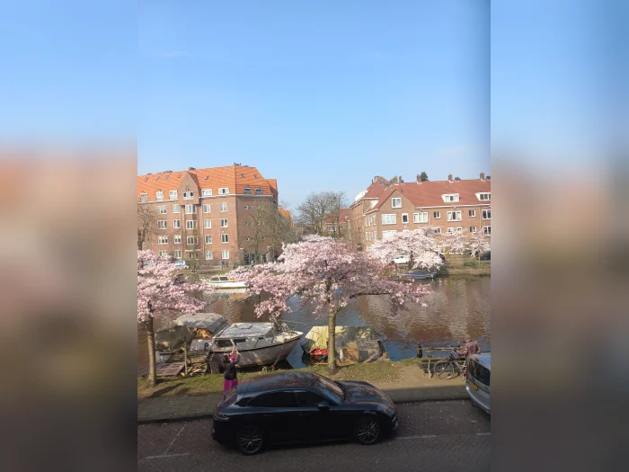 Voorbeeldafbeelding 2