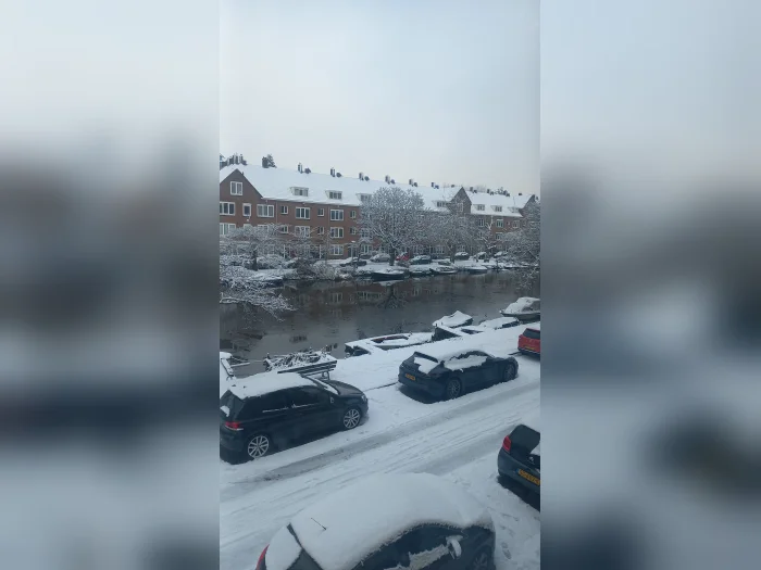Voorbeeldafbeelding 3