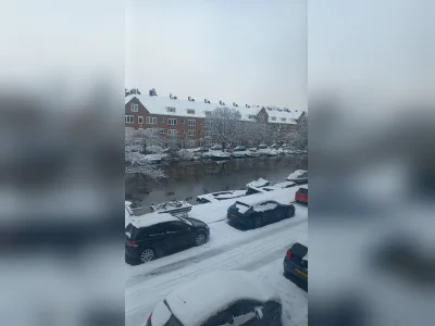 Voorbeeldafbeelding 3