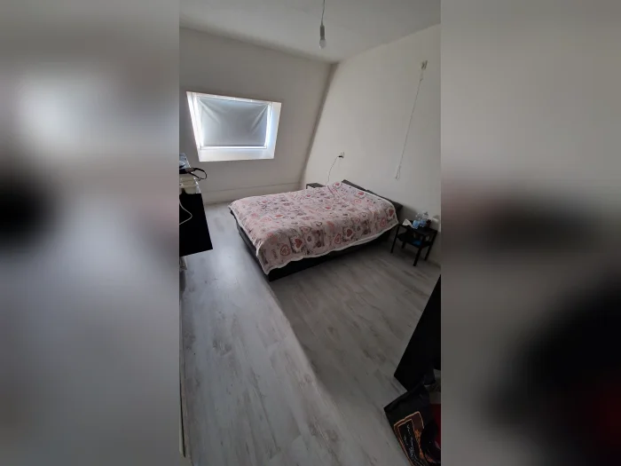 Voorbeeldafbeelding 1