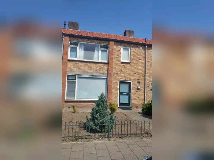 Voorbeeldafbeelding 1