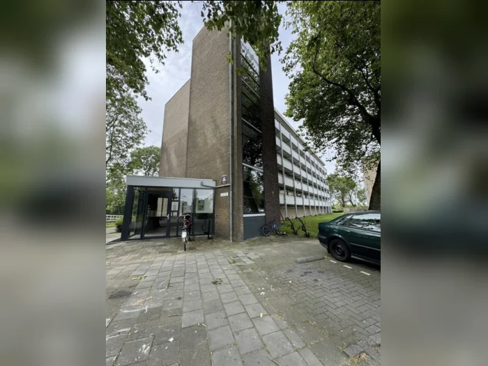 Voorbeeldafbeelding 3