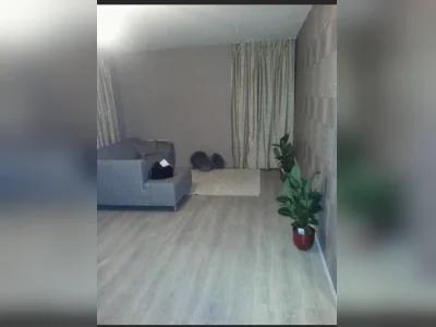 Landsmeer: Gezellige flat met 3 kamers