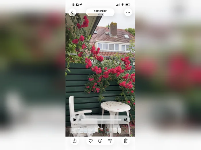 Voorbeeldafbeelding 1
