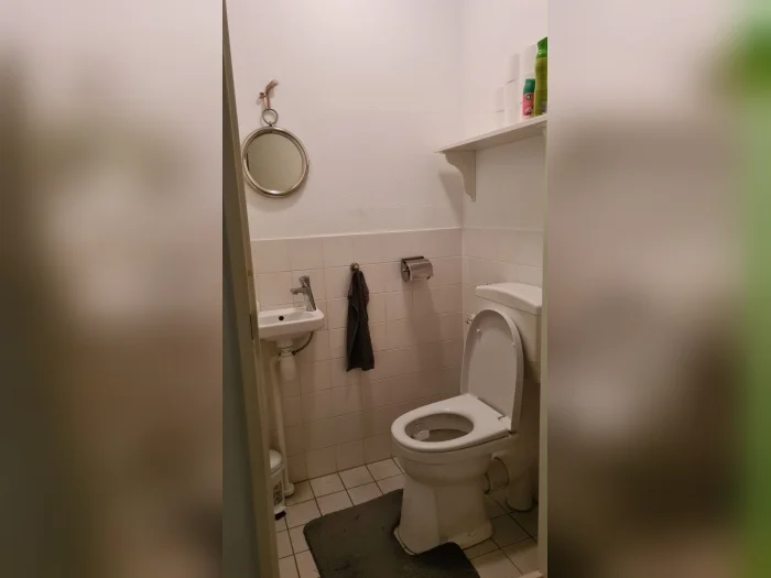 Voorbeeldafbeelding 2