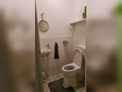 Voorbeeldafbeelding 2