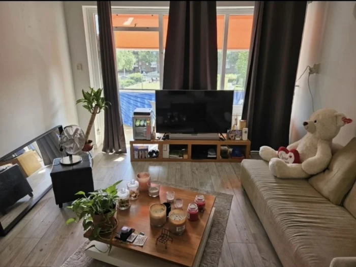 Voorbeeldafbeelding 2