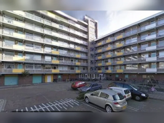 Voorbeeldafbeelding 1