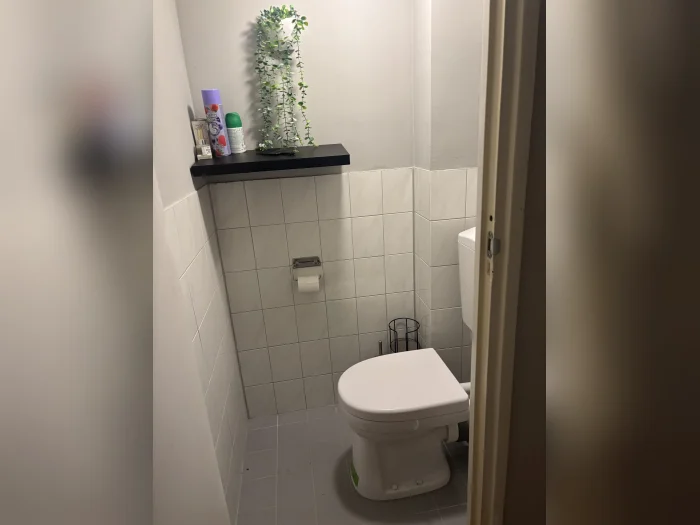 Voorbeeldafbeelding 3
