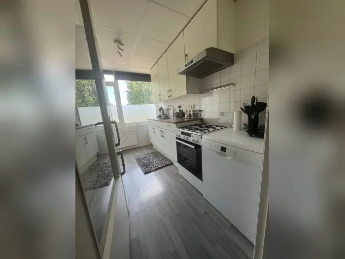 Voorbeeldafbeelding 3