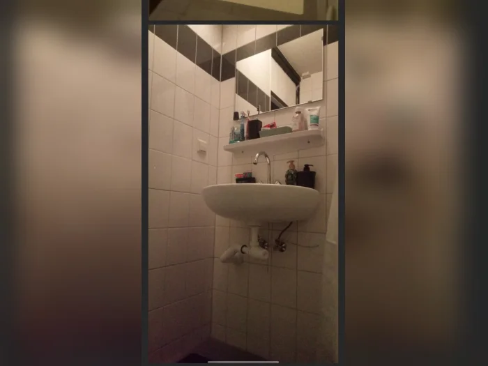 Voorbeeldafbeelding 3