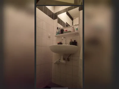 Voorbeeldafbeelding 3