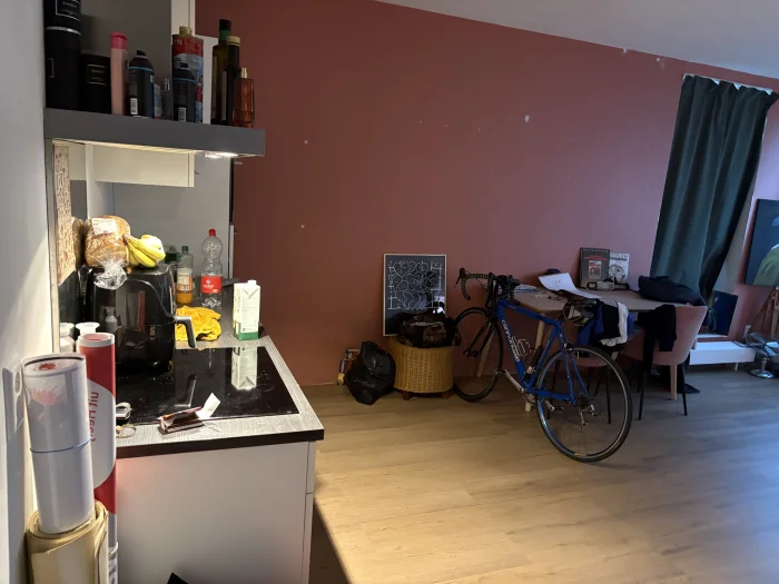 Voorbeeldafbeelding 2