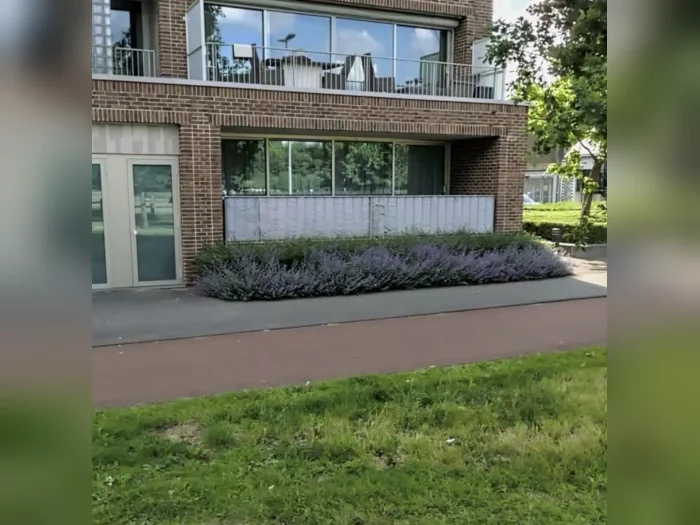 Voorbeeldafbeelding 1