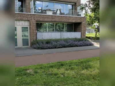 Voorbeeldafbeelding 1