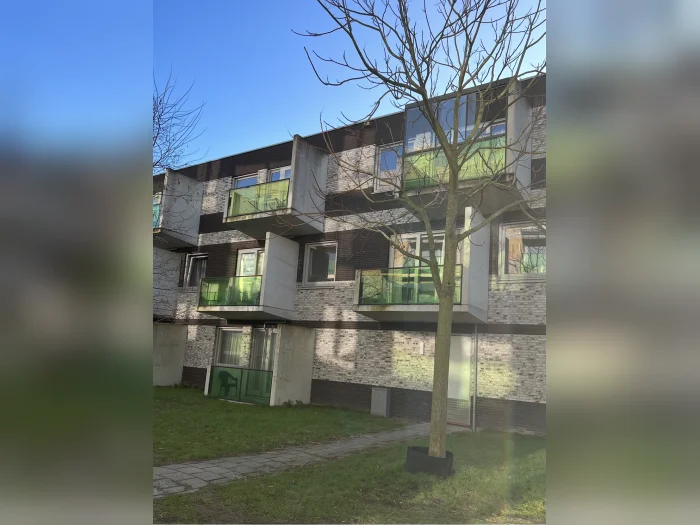 Voorbeeldafbeelding 1