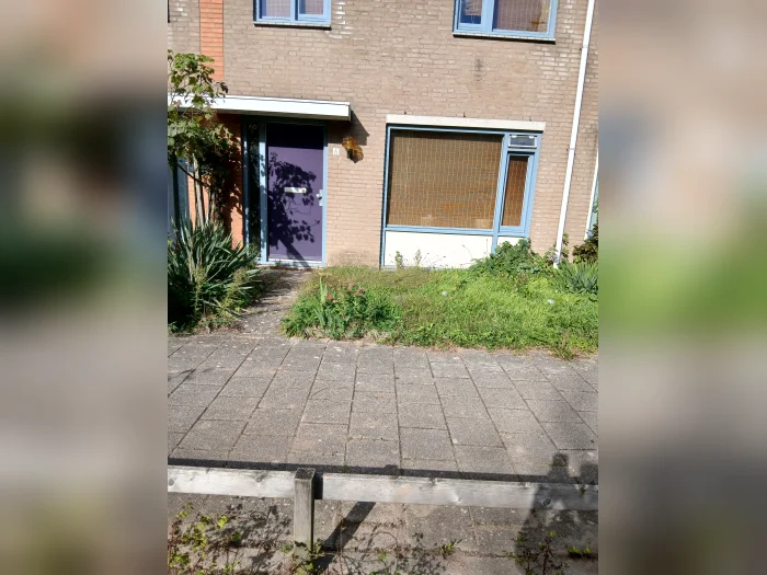Voorbeeldafbeelding 3