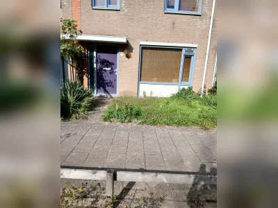 Voorbeeldafbeelding 3