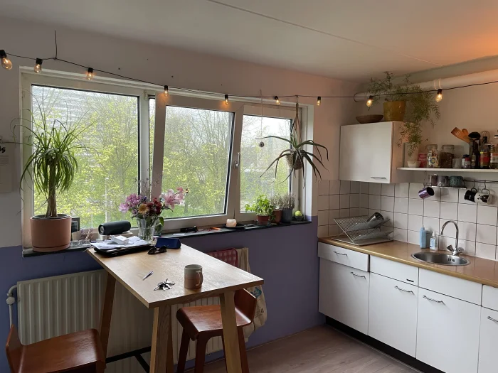 Voorbeeldafbeelding 2