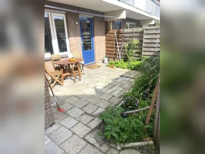 Voorbeeldafbeelding 3