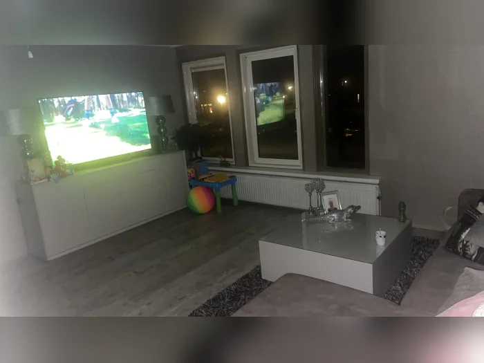 Voorbeeldafbeelding 2