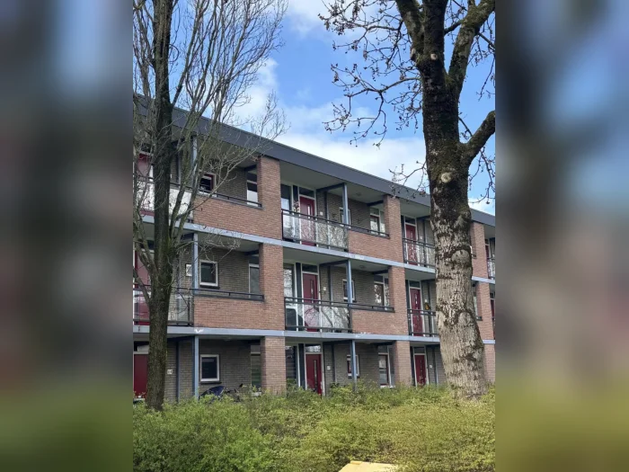 Voorbeeldafbeelding 3
