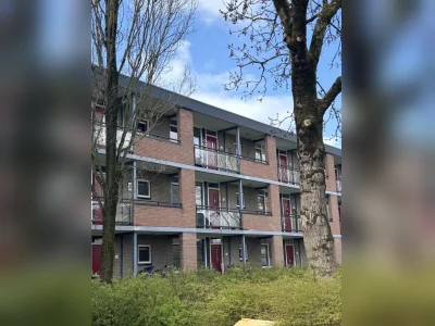 Voorbeeldafbeelding 3
