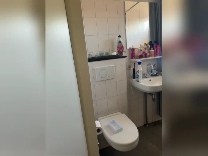 Voorbeeldafbeelding 1