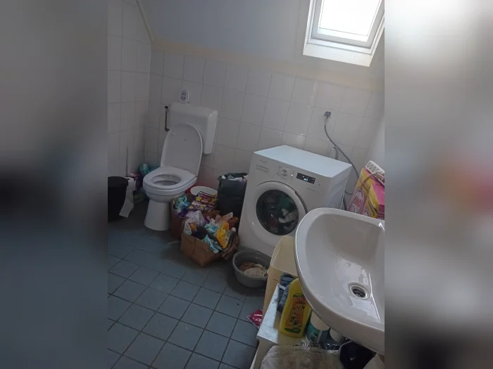 Voorbeeldafbeelding 2