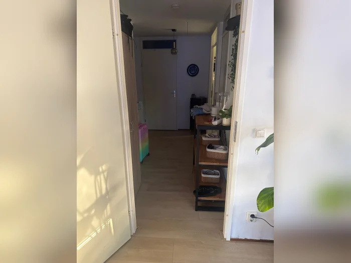 Voorbeeldafbeelding 3