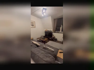 Voorbeeldafbeelding 3