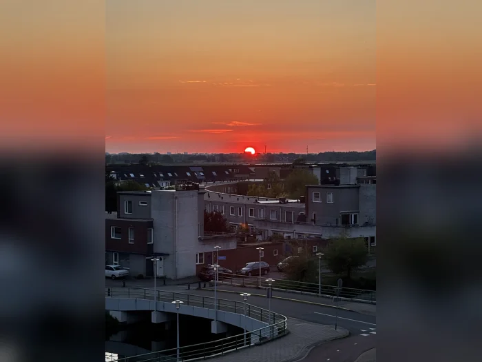 Voorbeeldafbeelding 3