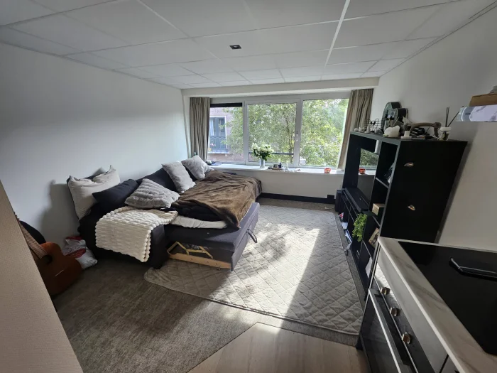 Voorbeeldafbeelding 3