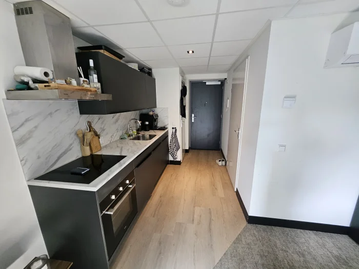Voorbeeldafbeelding 2