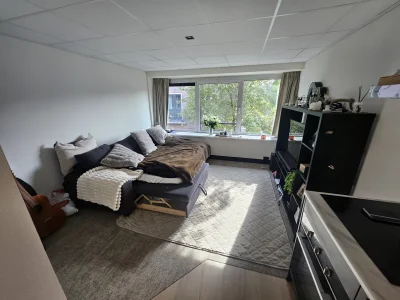 Voorbeeldafbeelding 3