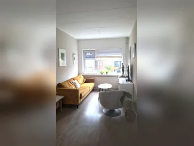 Voorbeeldafbeelding 3