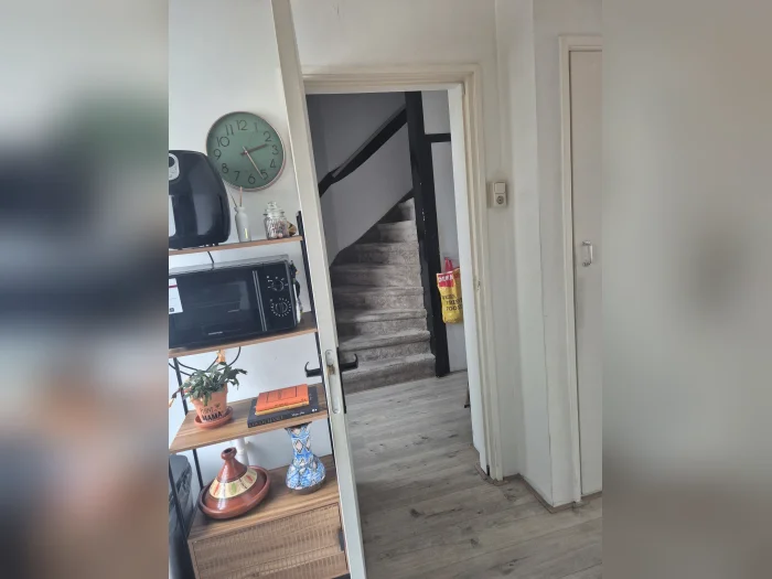 Voorbeeldafbeelding 2
