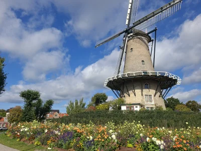 Voorbeeldafbeelding 1