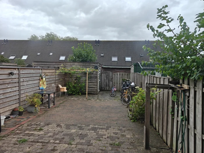 Voorbeeldafbeelding 3