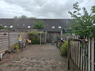 Voorbeeldafbeelding 3