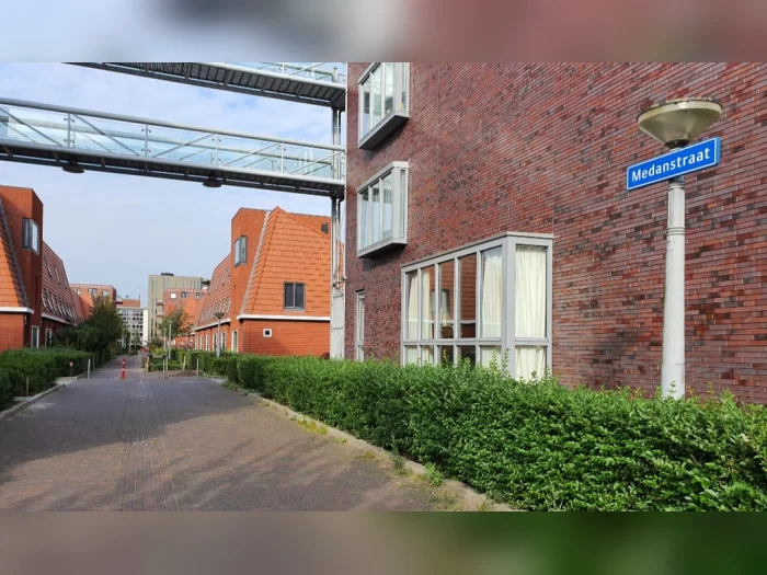 Voorbeeldafbeelding 2