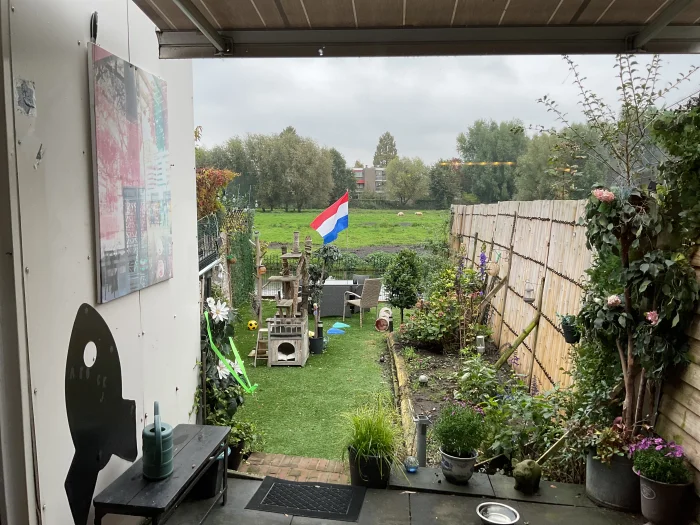 Voorbeeldafbeelding 1